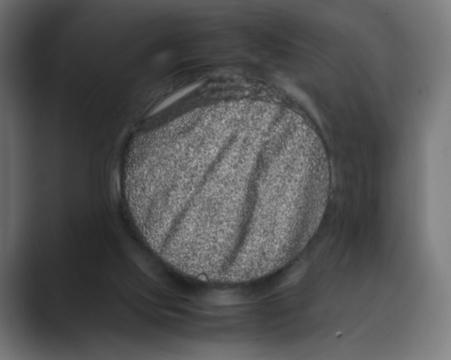 X0000088420061200706191223