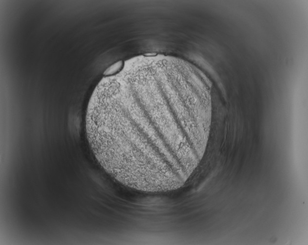 X0000088420063200706191223