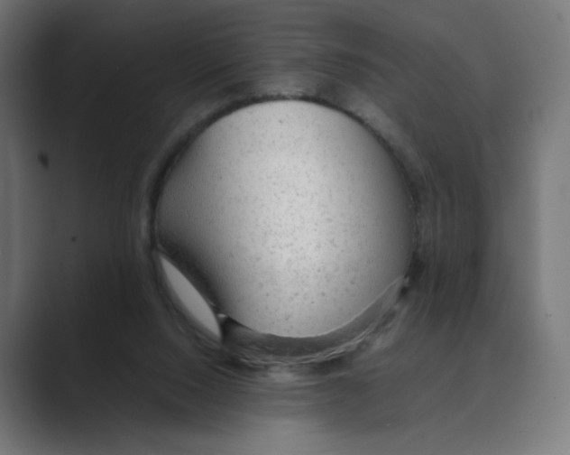 X0000088420064200706191223