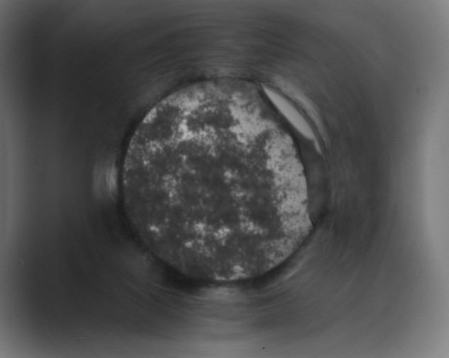 X0000088420067200706191223