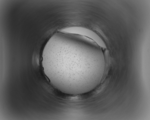 X0000088420068200706191223
