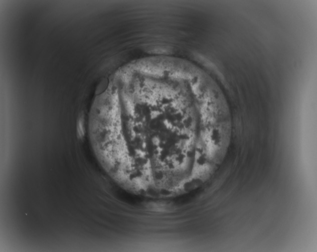 X0000088420069200706191223