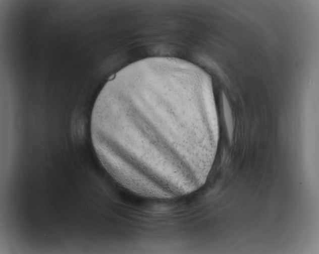 X0000088420071200706191223
