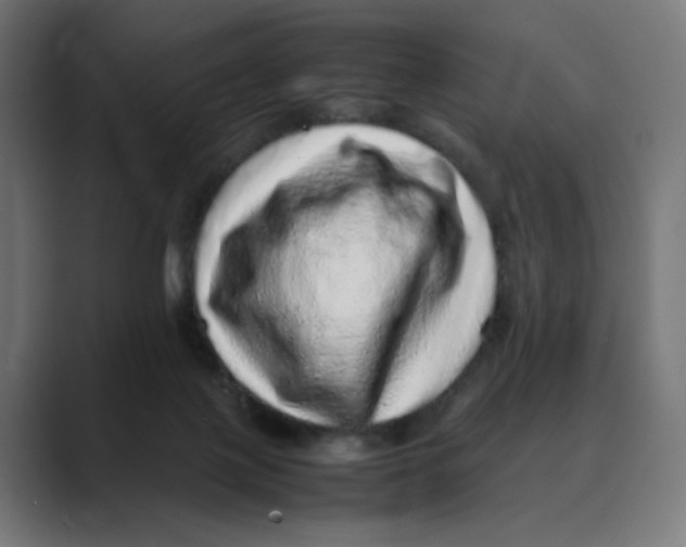 X0000088420075200706191223