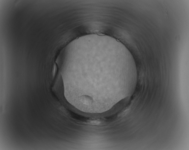 X0000088420076200706191223