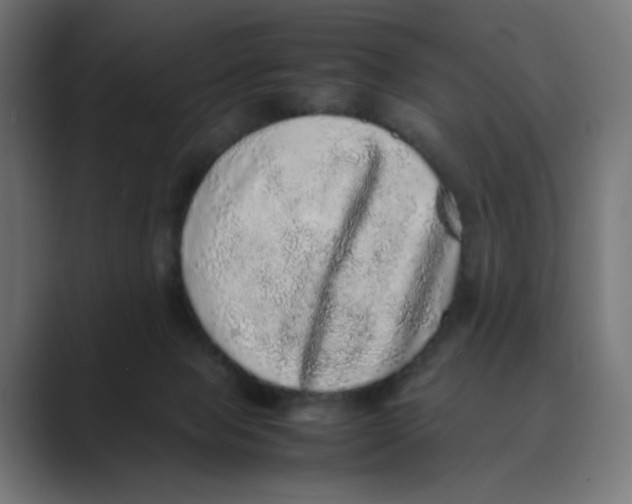 X0000088420077200706191223