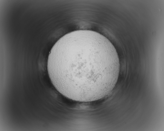 X0000088420078200706191223