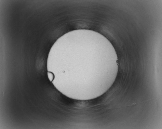 X0000088420079200706191223