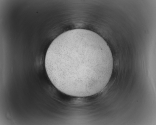 X0000088420082200706191223