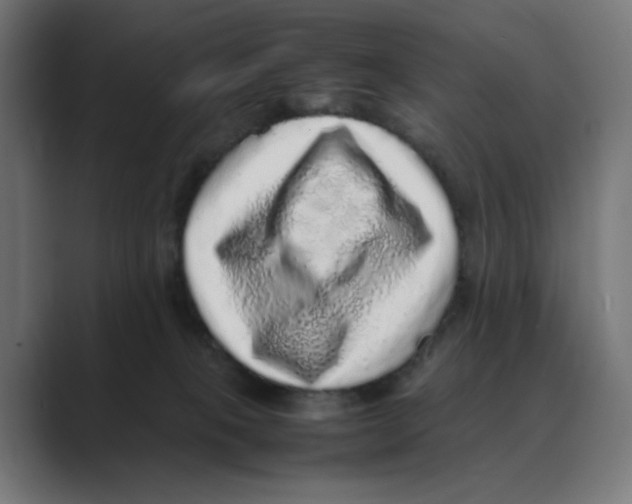 X0000088420085200706191223