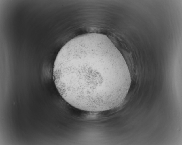 X0000088420090200706191223