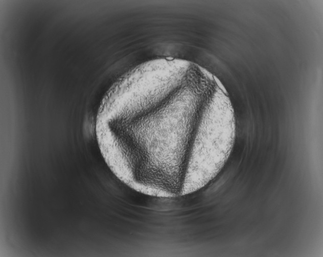 X0000088420095200706191224