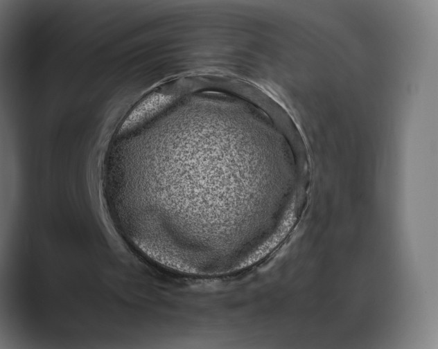 X0000088420097200706191223