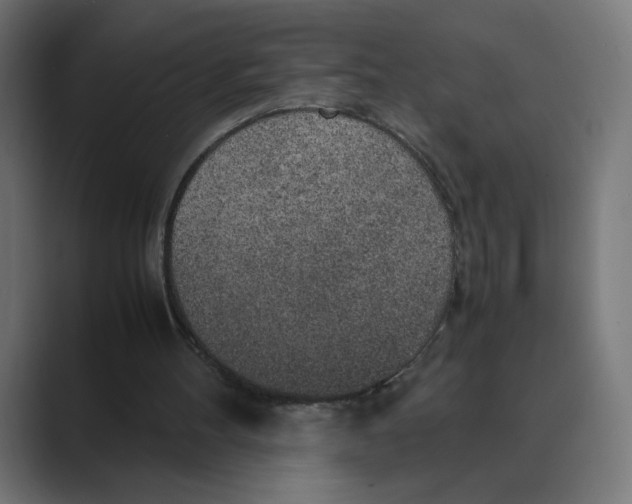 X0000088420100200706191223