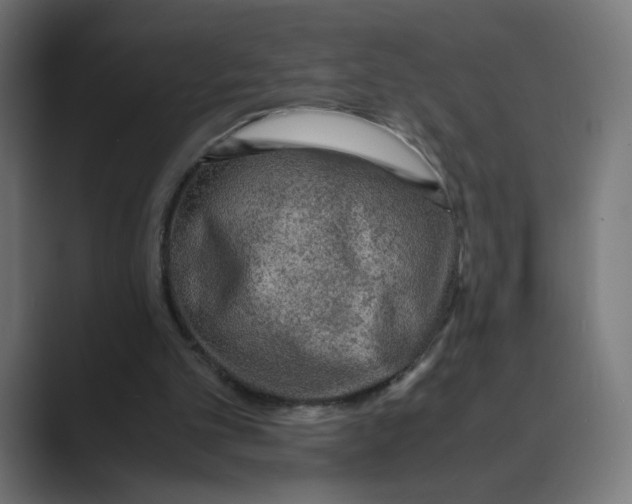 X0000088420101200706191223