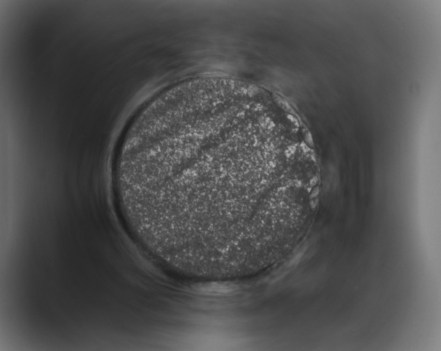 X0000088420102200706191223