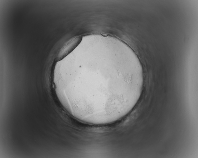 X0000088420103200706191223
