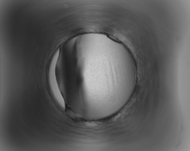 X0000088420105200706191223