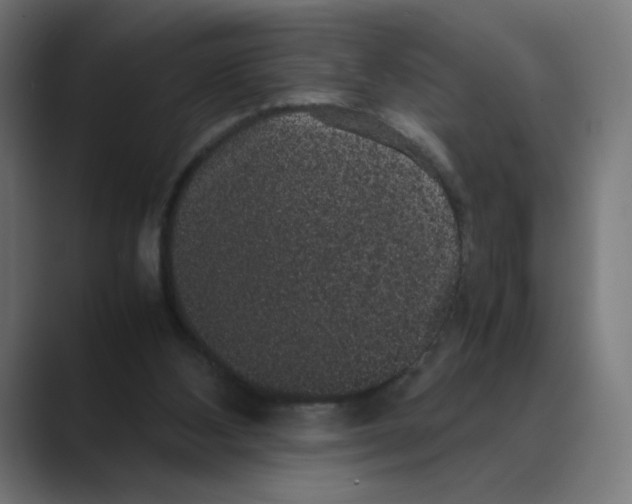X0000088420108200706191223