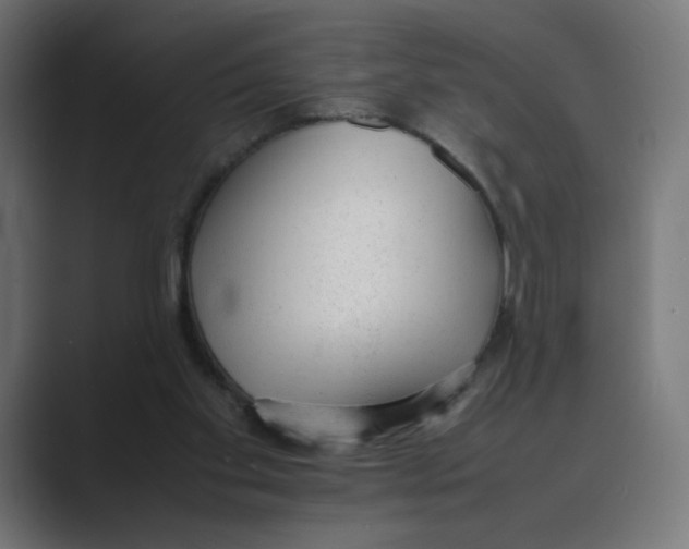 X0000088420109200706191223