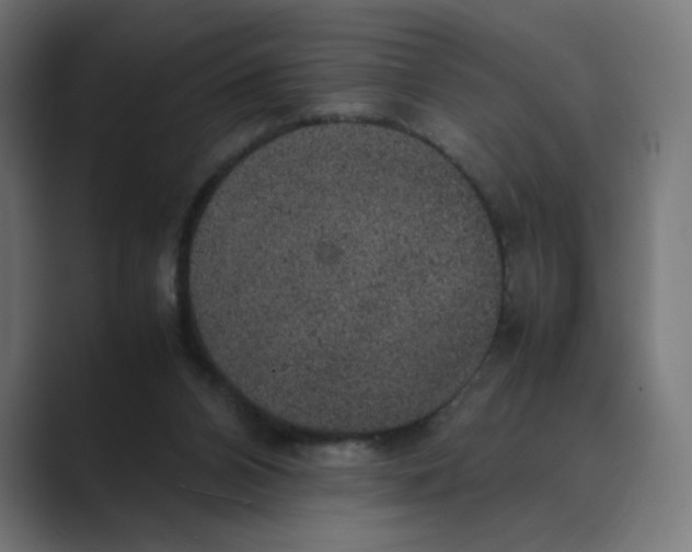 X0000088420112200706191223