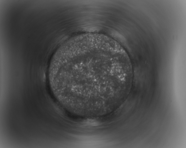 X0000088420114200706191223