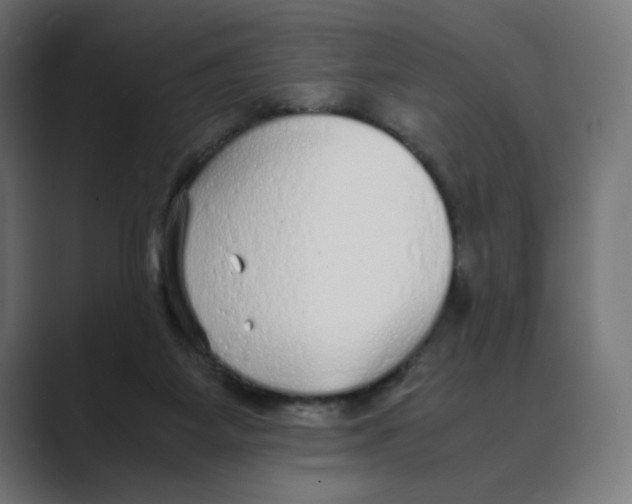 X0000088420115200706191223