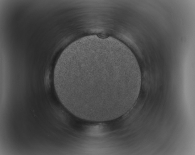 X0000088420116200706191223