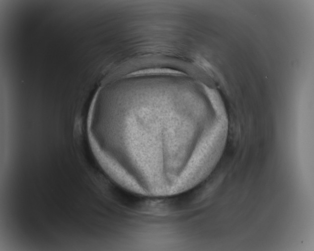 X0000088420117200706191223