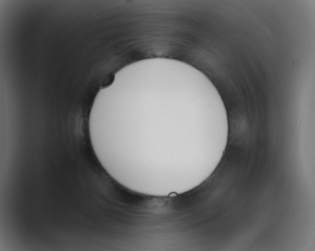 X0000088420126200706191223