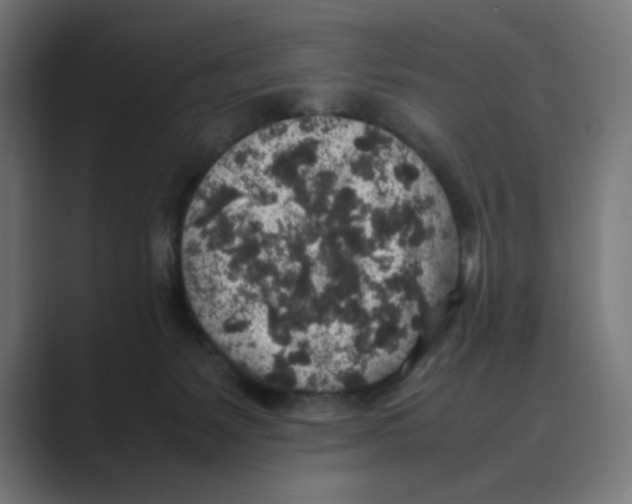 X0000088420127200706191223