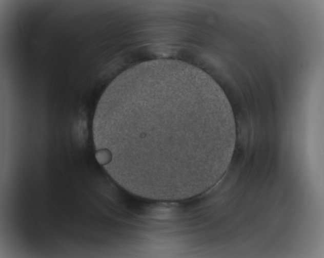 X0000088420128200706191223