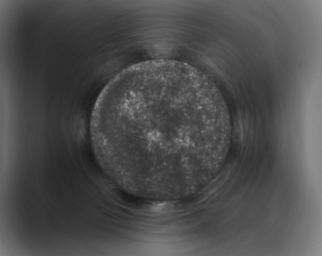 X0000088420130200706191223