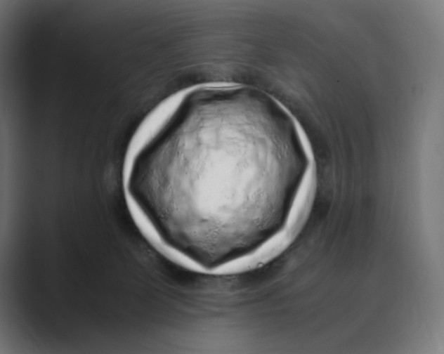 X0000088420131200706191223