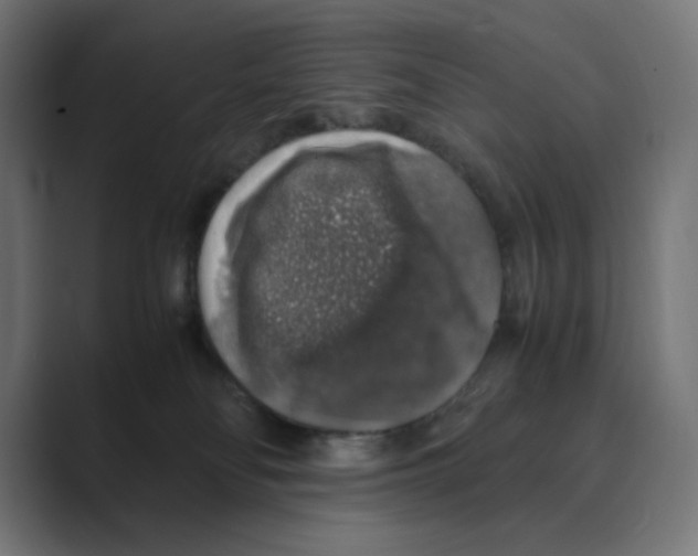 X0000088420134200706191223