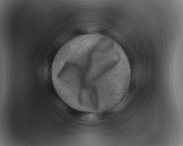 X0000088420140200706191222