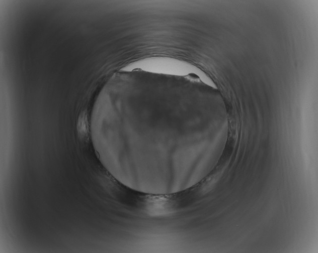 X0000088420143200706191222