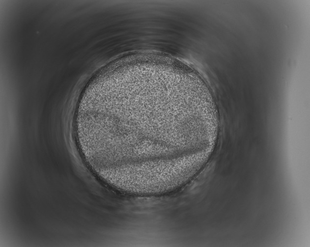 X0000088420145200706191222