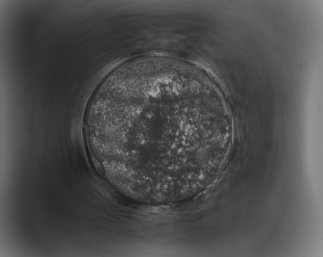 X0000088420147200706191222