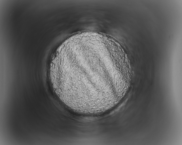 X0000088420149200706191222