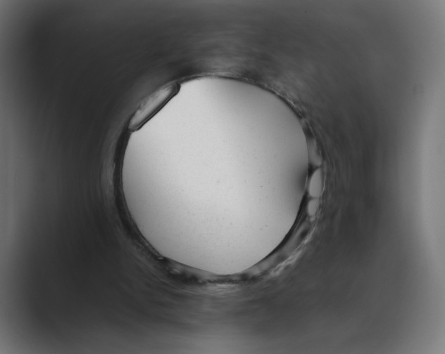 X0000088420150200706191222