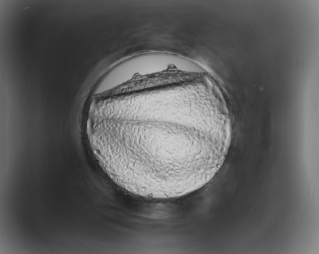 X0000088420151200706191222