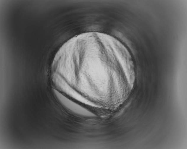 X0000088420153200706191222