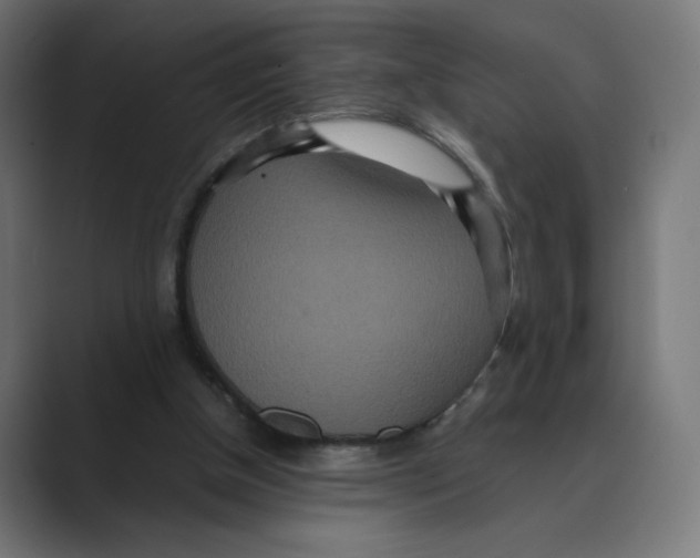 X0000088420154200706191222