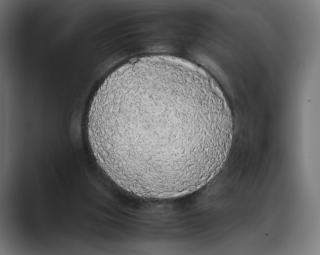 X0000088420155200706191222