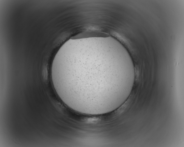 X0000088420158200706191222