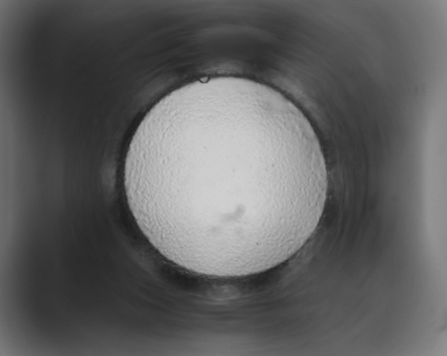 X0000088420159200706191222