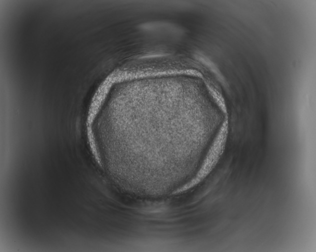 X0000088420161200706191222