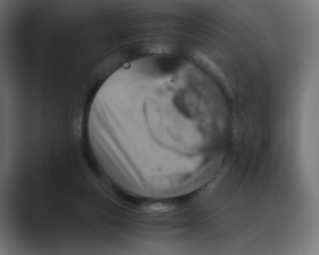 X0000088420163200706191222