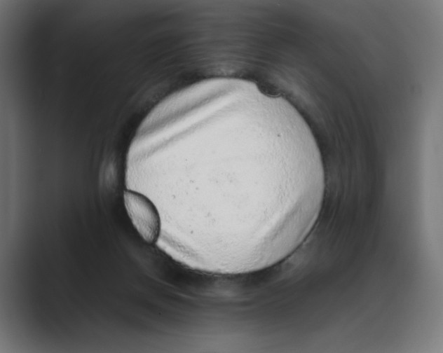 X0000088420166200706191222